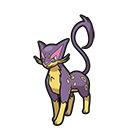 Léopardus