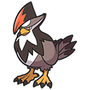 staraptor