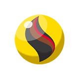 raichunite-x